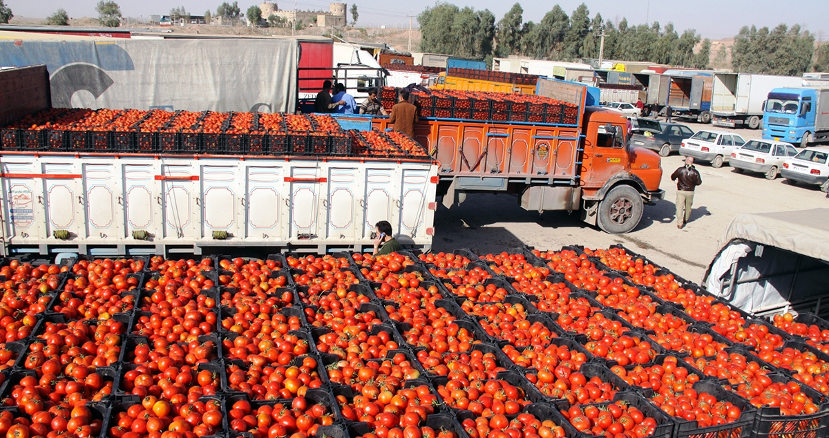 صادرات رب گوجه فرنگی به عمان