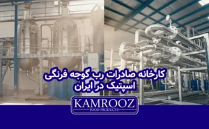 کارخانه صنایع غذایی کامروز 127 کارخانه صادرات رب گوجه فرنگی اسپتیک ایران