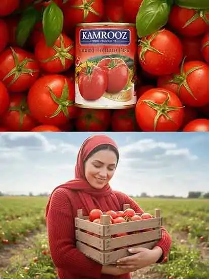 کارخانه صنایع غذایی کامروز 11 TomatoPaste 13 SplitScreen 1 1 1 2